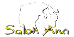 Logo Salon Ana